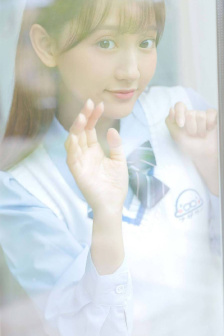 高级吸猫